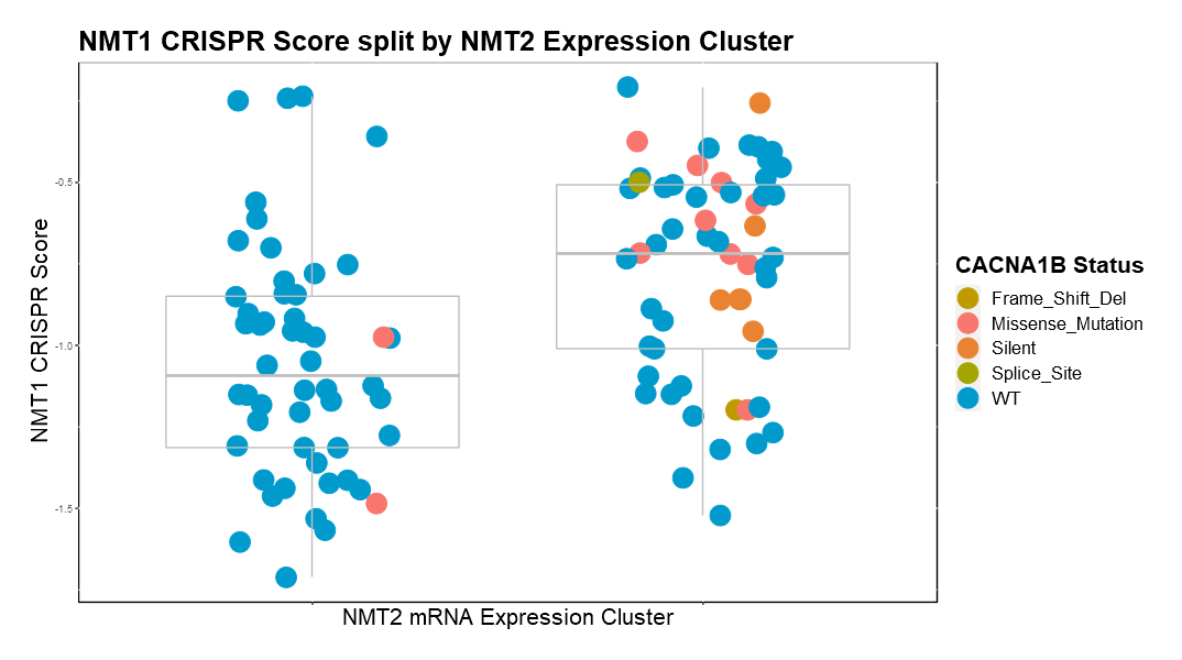 Example of Mutational Data in NMT2 expression clusters