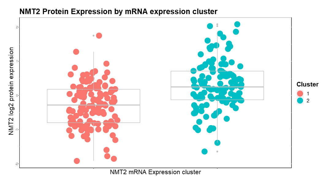 NMT2 protein concentrations for mRNA expression clusters