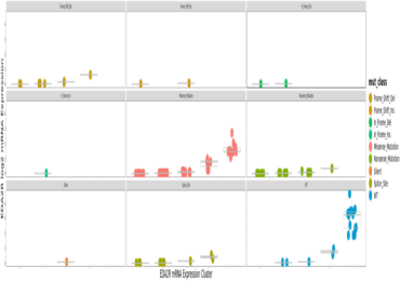 mutation geneXPR CRISPR example